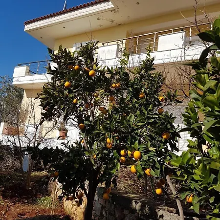 Apartment Kristianna Dhermi